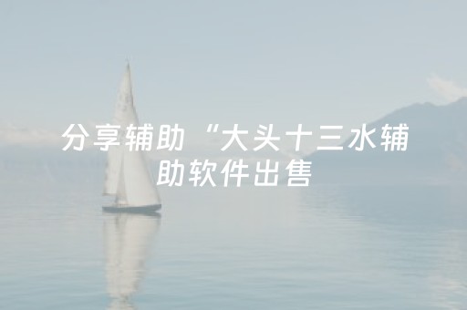 分享辅助“大头十三水辅助软件出售（助赢神器通用版）