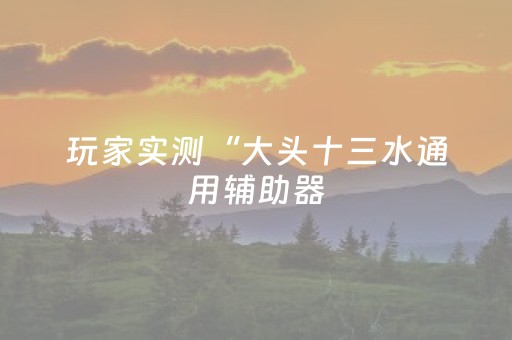 玩家实测“大头十三水通用辅助器（专用辅牌神器免安装）