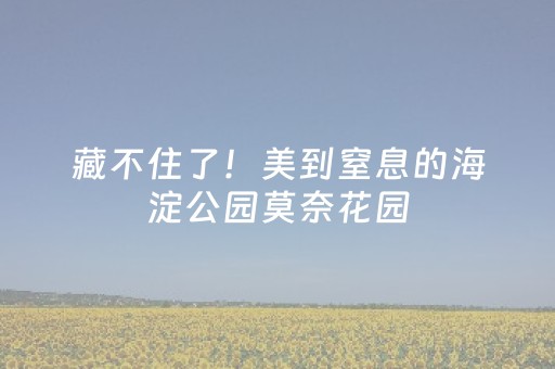 玩家实测“吉祥麻将免输神器下载（助赢神器通用版）