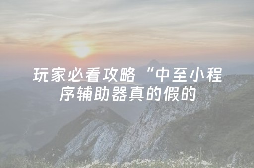 玩家必看攻略“中至小程序辅助器真的假的（专用辅牌神器免安装）