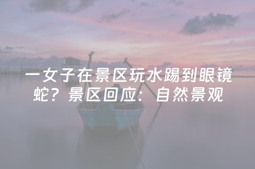 我来教大家“途游四川麻将胡牌神器（专用辅牌神器免安装）