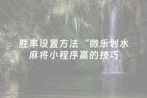 终于发现“手机金花软挂神器（专用辅牌神器免安装）