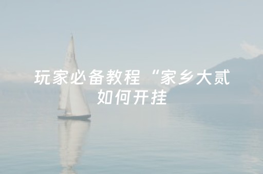 玩家必备教程“家乡大贰如何开挂（专用辅牌神器免安装）