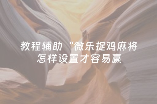 教程辅助“微乐捉鸡麻将怎样设置才容易赢（助赢神器通用版）