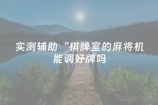 实测辅助“棋牌室的麻将机能调好牌吗（助赢神器通用版）