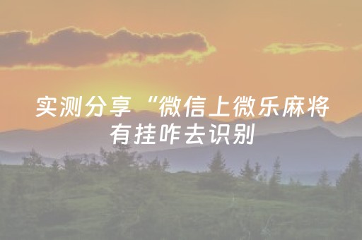 实测分享“微信上微乐麻将有挂咋去识别（专用辅牌神器免安装）