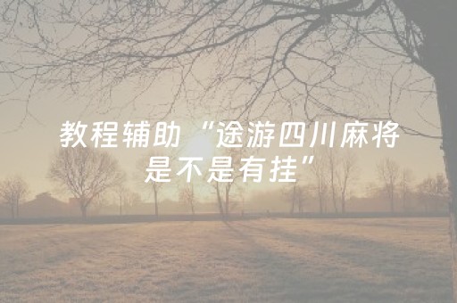 教程辅助“途游四川麻将是不是有挂”（详细透视教程）-哔哩哔哩