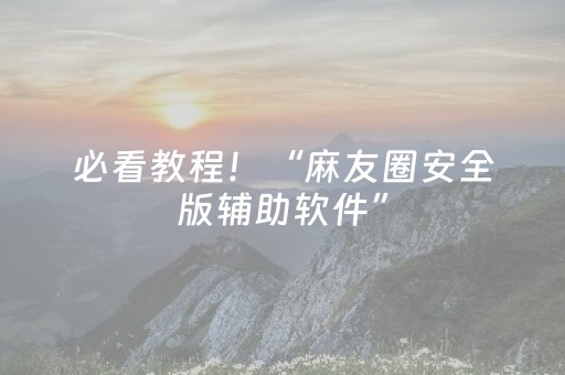 必看教程！“麻友圈安全版辅助软件”（详细辅助教程）-哔哩哔哩