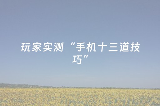 玩家实测“手机十三道技巧”（详细透视教程）-哔哩哔哩