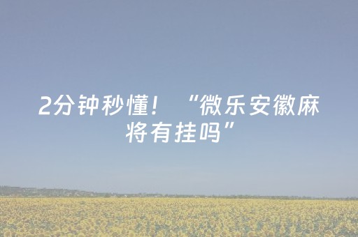 2分钟秒懂！“微乐安徽麻将有挂吗”（详细辅助教程）-哔哩哔哩