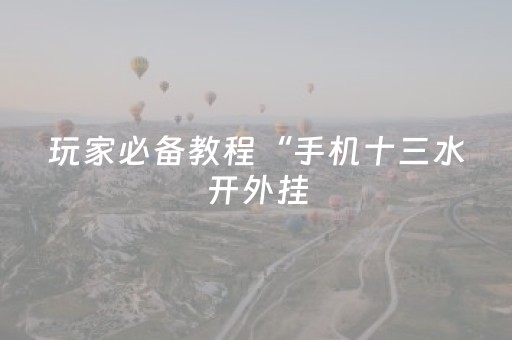 玩家必备教程“手机十三水开外挂（专用辅牌神器免安装）