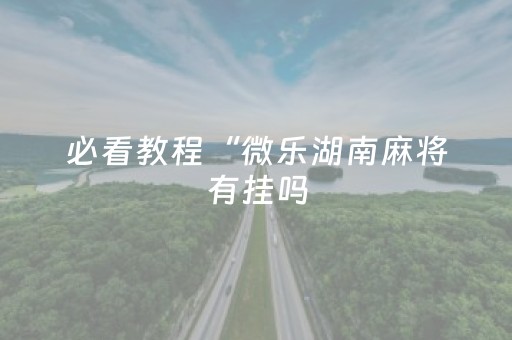 必看教程“腾讯广东麻将雀神麻将真的有挂吗（专用辅牌神器免安装）