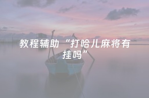 玩家必备教程“兴动麻将软挂神器（助赢神器通用版）