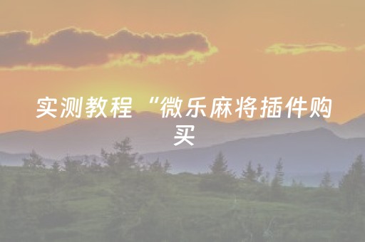 实测教程“微乐麻将插件购买（专用辅牌神器免安装）