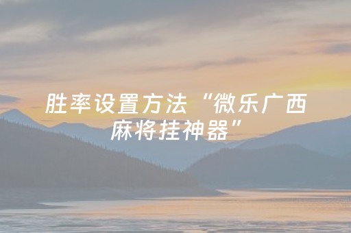玩家必看攻略“中至麻将助赢神器”（详细透视教程）-哔哩哔哩