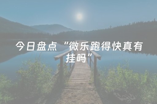 今日实测“小程序麻将神器”（详细辅助教程）-哔哩哔哩