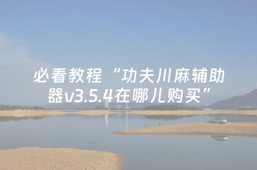 必看教程“功夫川麻辅助器v3.5.4在哪儿购买”（详细透视教程）-哔哩哔哩