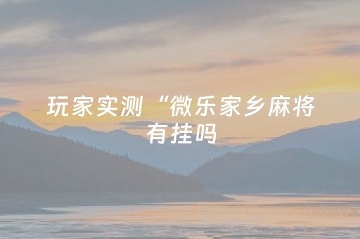 玩家实测“微乐家乡麻将有挂吗（助赢神器通用版）