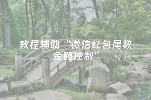 教程辅助“微信红包尾数金额控制”（详细透视教程）-哔哩哔哩