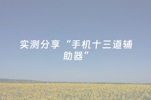 实测分享“手机十三道辅助器”（详细辅助教程）-哔哩哔哩