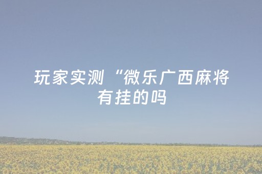 玩家实测“微乐广西麻将有挂的吗（助赢神器通用版）