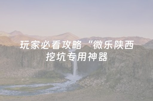 玩家必看攻略“微乐陕西挖坑专用神器（助赢神器通用版）