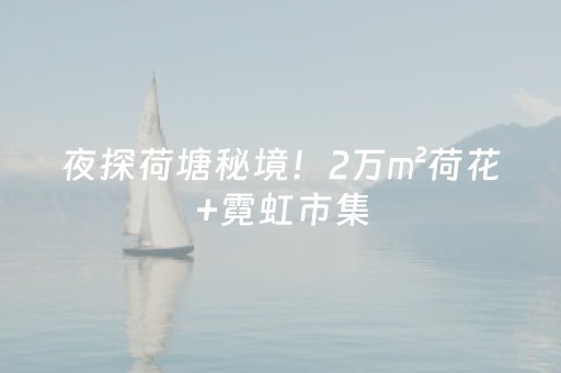 3分钟学会“埋雷微信抢红包扫雷控制尾数开挂软件”（详细透视教程）-哔哩哔哩
