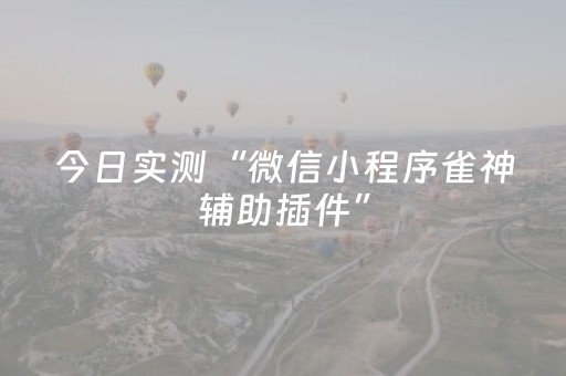 今日实测“微信小程序雀神辅助插件”（详细辅助教程）-哔哩哔哩
