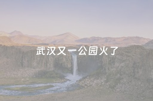 实测分享“QQ真的有玩埋雷避雷开挂辅助软件”（详细透视教程）-哔哩哔哩