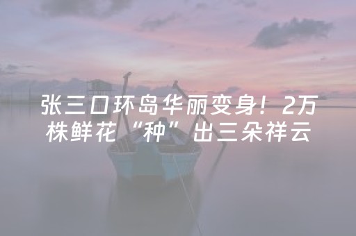 胜率设置方法“程序麻将设备 黑科技”（详细透视教程）-哔哩哔哩