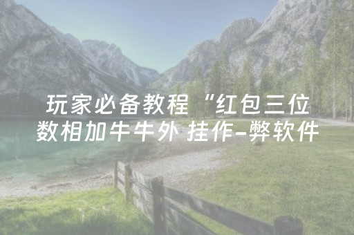 玩家必备教程“红包三位数相加牛牛外 挂作-弊软件下载 ”（详细透视教程）-哔哩哔哩