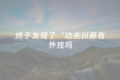 终于发现了“功夫川麻有外挂吗（专用辅牌神器免安装）