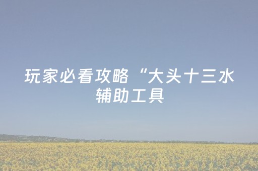 玩家必看攻略“大头十三水辅助工具（专用辅牌神器免安装）