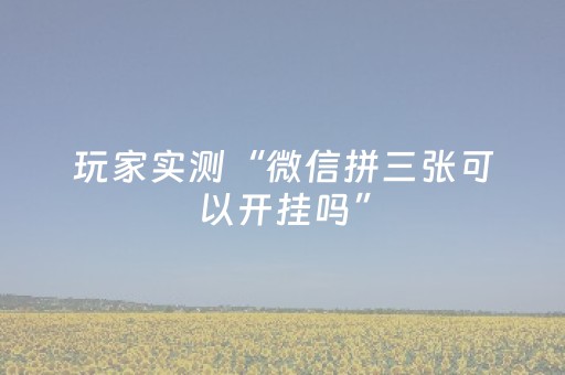 玩家实测“微信拼三张可以开挂吗”（详细透视教程）-哔哩哔哩