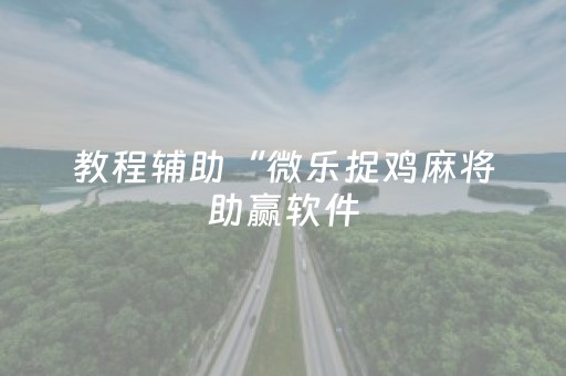 教程辅助“微乐捉鸡麻将助赢软件（助赢神器通用版）