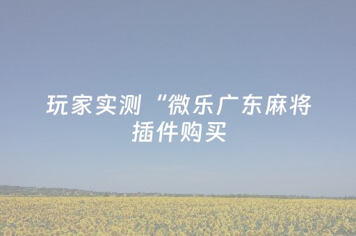 玩家实测“微乐广东麻将插件购买（助赢神器通用版）