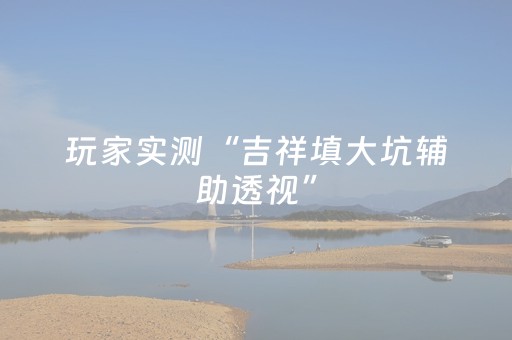 玩家实测“吉祥填大坑辅助透视”（详细透视教程）-哔哩哔哩
