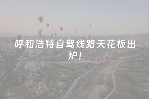 新版本“哈灵杭州麻将铺牌器购买”（详细透视教程）-哔哩哔哩