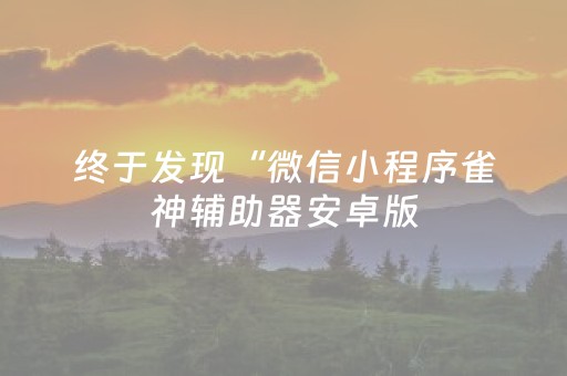 教程辅助“微乐河北麻将胡牌神器（专用辅牌神器免安装）