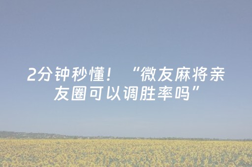 2分钟秒懂！“微友麻将亲友圈可以调胜率吗”（详细透视教程）-哔哩哔哩