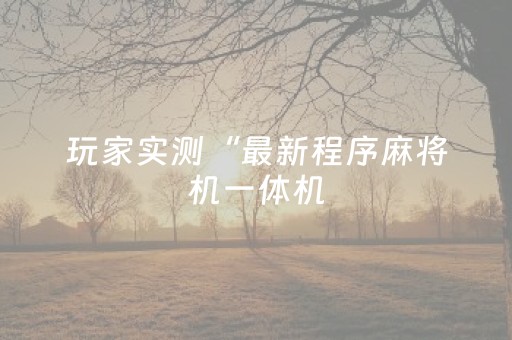 玩家实测“最新程序麻将机一体机（助赢神器通用版）