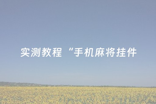 实测教程“手机麻将挂件（专用辅牌神器免安装）