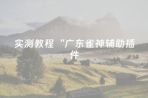 实测教程“广东雀神辅助插件（专用辅牌神器免安装）