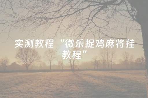 实测教程“微乐捉鸡麻将挂教程”（详细透视教程）-哔哩哔哩