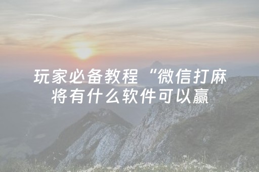 玩家必备教程“微信打麻将有什么软件可以赢（专用辅牌神器免安装）