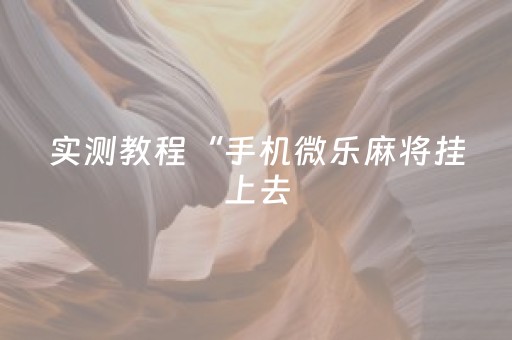 实测教程“手机微乐麻将挂上去（专用辅牌神器免安装）