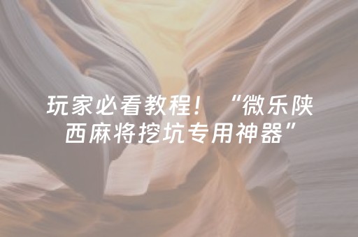 玩家必看教程！“微乐陕西麻将挖坑专用神器”（详细透视教程）-哔哩哔哩