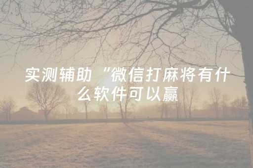 实测辅助“微信打麻将有什么软件可以赢（助赢神器通用版）