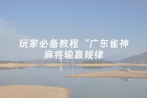 玩家必备教程“广东雀神麻将输赢规律（专用辅牌神器免安装）