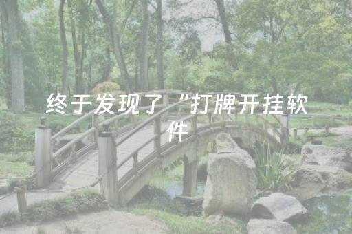 终于发现了“打牌开挂软件（助赢神器通用版）